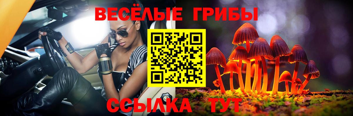 Краснокамск  Галлюциногенные грибы Magic Shrooms  Вход с VPN 
